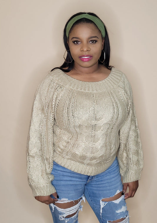 Solid Color Knit Sweater (Plus) - Taupe